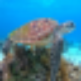 msapplication-TileImage