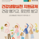 건강생활실천지원금